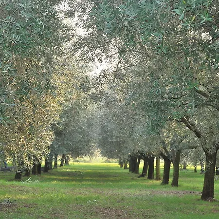 Terra E Sole Feriegård Sant'Ambrogio di Valpolicella