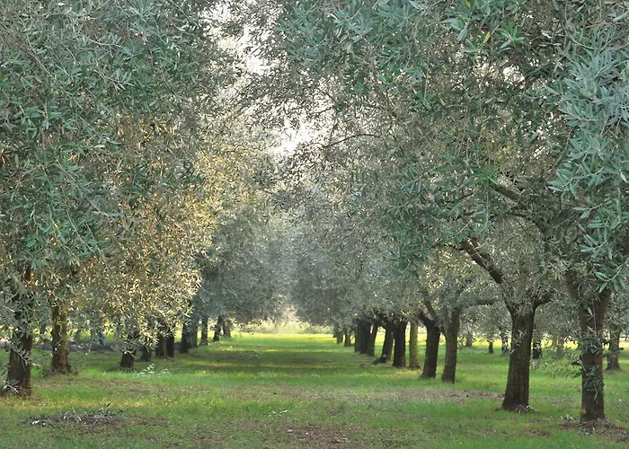 Terra E Sole Séjour à la ferme SantʼAmbrogio di Valpolicella