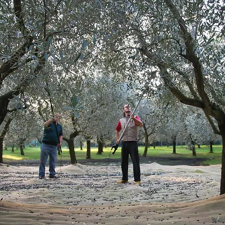 Séjour à la ferme Terra E Sole