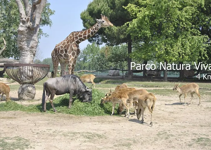 Terra E Sole *