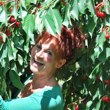 Farm stay Terra E Sole Sant'Ambrogio di Valpolicella