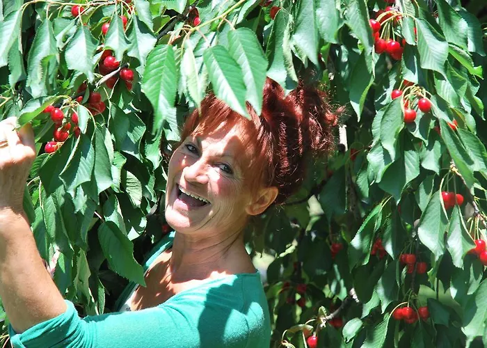 Çiftlik konaklama Terra E Sole SantʼAmbrogio di Valpolicella