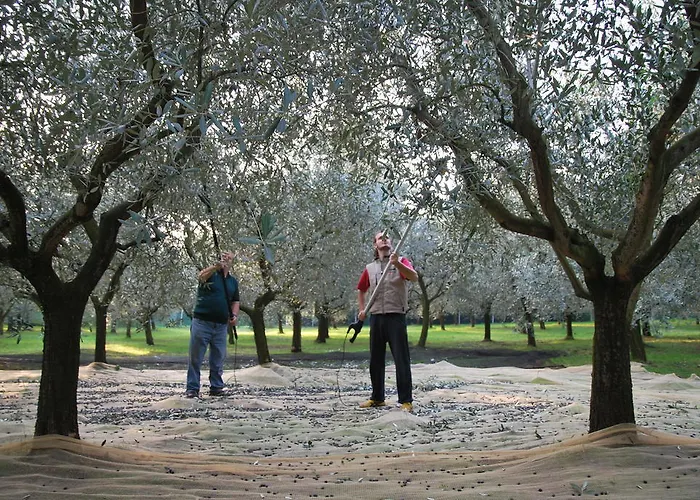 Çiftlik konaklama Terra E Sole